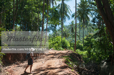 The woman hikes through a tropical forest in the Ko Samui, Thailand. Palms and blue sky are in the background.