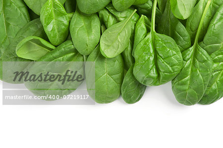 fresh green leaves spinach isolated on a white background