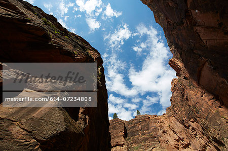 Virgin narrows looking up, Zion National Park, Utah, USA