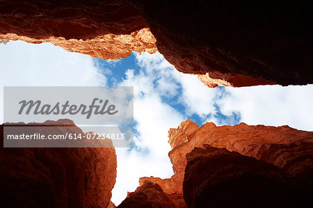 Looking up from Navajo Loop, Bryce Canyon National Park, Utah, USA Looking up from Navajo Loop, Bryce Canyon National Park, Utah, USA