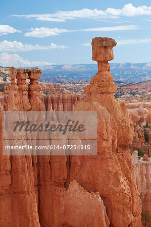 Hoodoo, Bryce Canyon, Zion National Park, Utah, USA