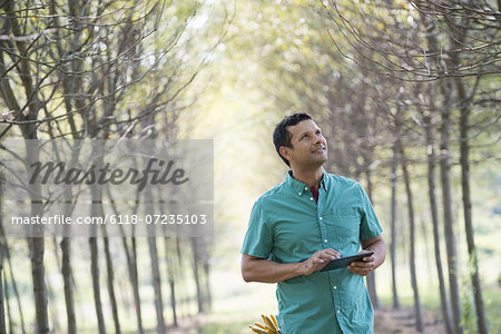 A man standing in an avenue of trees, holding a digital tablet.