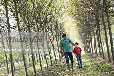 A man and a young boy walking down an avenue of trees. A man and a young boy walking down an avenue of trees.