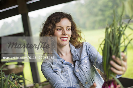 An organic fruit and vegetable farm. A young woman sorting vegetables.