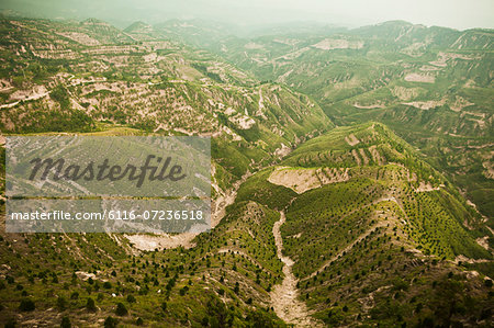 Reforested areas in the mountains, Shanxi Province, China