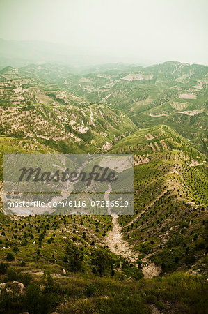 Reforested areas in the mountains, Shanxi Province, China