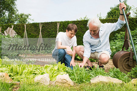 Grandfather and grandson gardening Grandfather and grandson gardening