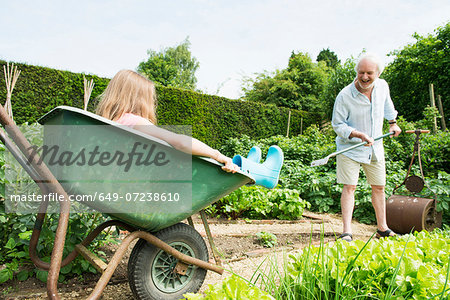 Girl sitting in wheelbarrow, grandfather gardening