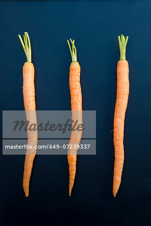 Three carrots, still life