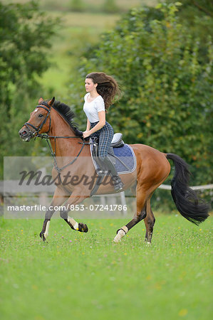 Teenage girl riding a Mecklenburger horse on a paddock