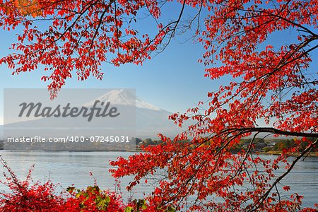 Mt Fuji in the Fall season.