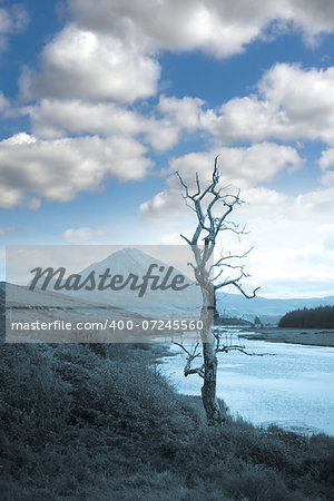 view of the Errigal mountains and countryside in county Donegal, Ireland in blue tone