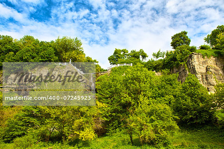 hillside with bushes at sunny summer day