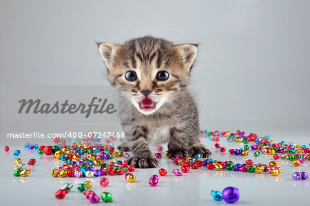 Little kitten surrounding with small metal jingle bells beads . Studio shot. Little kitten surrounding with small metal jingle bells beads . Studio shot.