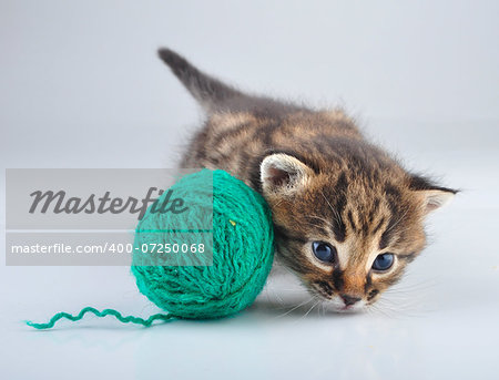 Little kitten playing with a lball . Studio shot.