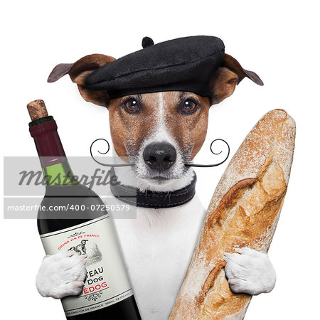 french dog wine baguette beret