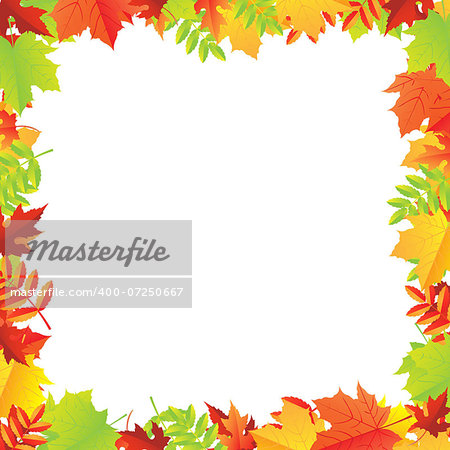 Colorful Autumn Leafs Frame, Vector Illustration