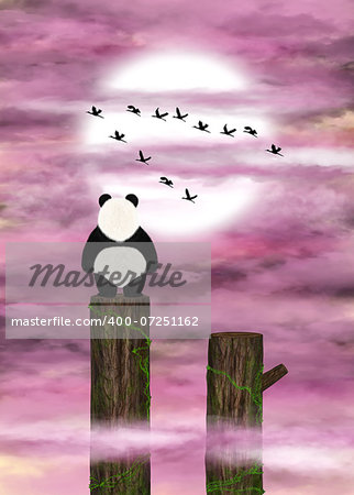 Dreamer panda admires pink clouds and a flying flock of cranes. Digital art.