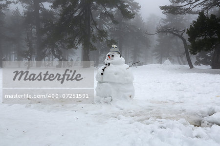 Snowman in winter foggy day in mountain Troodos in Cyprus.