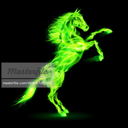 Green fire horse rearing up. Illustration on black background.