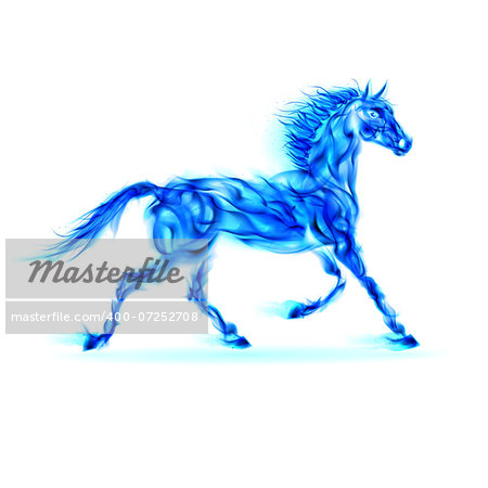 Blue fire horse in motion on white background.
