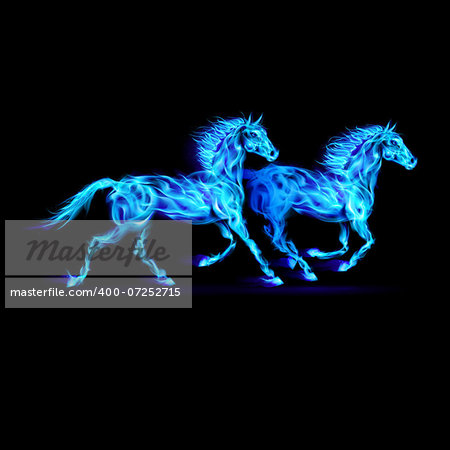 Running blue fiery horses. Illustration on black background.
