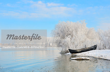Frosty winter trees near Danube river shoot in the daytime