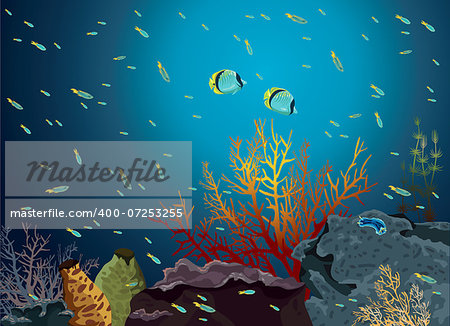 Coral reef with butterflyfishes and school of fish in a blue sea.