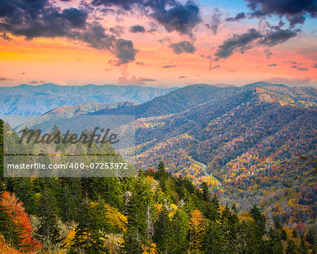 Autumn morning in the Smoky Mountains National Park.