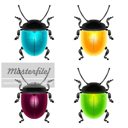 vector set of four different colored beetles, blue, yellow, green and burgundy