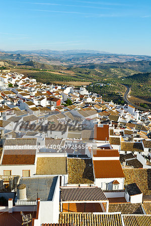 Bird's Eye View on the Red Tiles of the Spanish Town