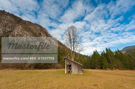 Meadow with barn and big tree.