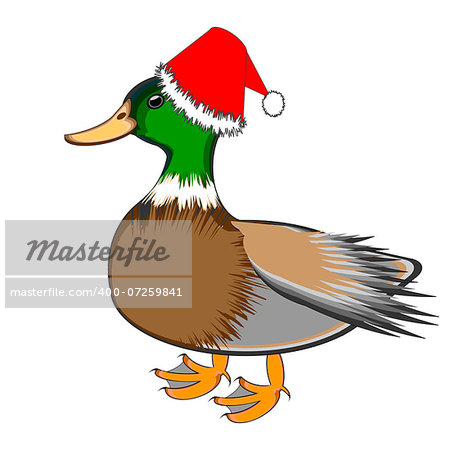 A Christmas duck isolated on a white background. Vector-art illustration