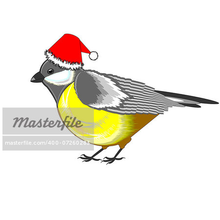 A cute Christmas titmouse isolated on a white background. Vector-art illustration