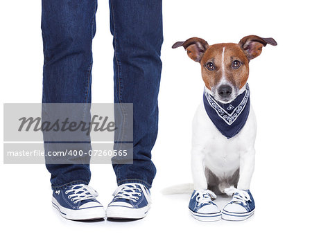 dog owner with dog both wearing sneakers