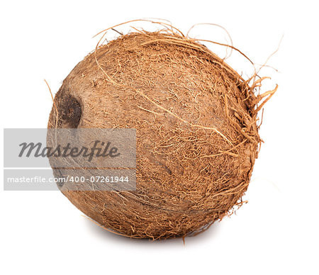 Single ripe coconut isolated on white background