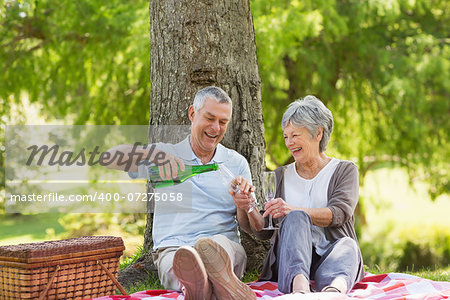 Cheerful senior man and woman having champagne at the park