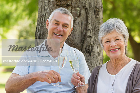 Portrait of happy senior man and woman toasting champagne flutes at the park