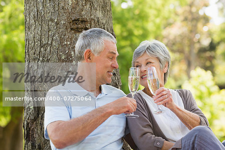 Happy senior man and woman toasting champagne flutes at the park