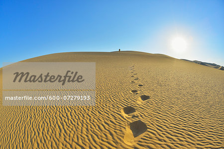 Footprints on Sand Dune with Sun, Matruh Governorate, Libyan Desert, Sahara Desert, Egypt, Africa