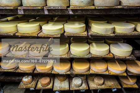 Cheese Factory at Hacienda Zuleta, Imbabura Province, Ecuador