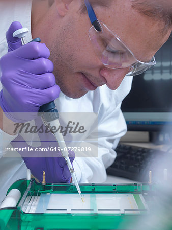 Researcher loads a sample of DNA into an agarose gel for separation by electrophoresis