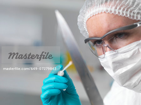 Forensic scientist in laboratory taking DNA evidence with a swab for crime investigation