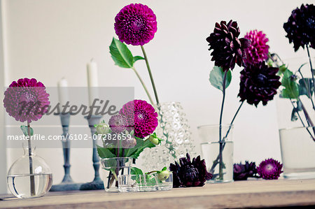 Flowers in glasses, close-up