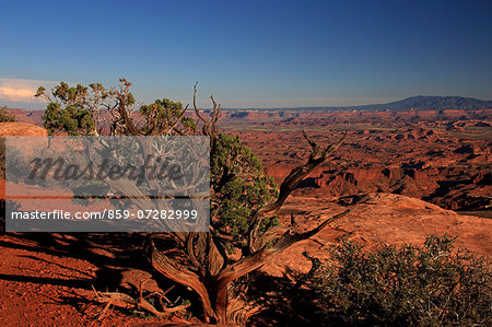 Canyon lands National Park, Utah, America