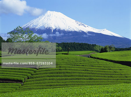 Obuchi, Shizuoka, Japan