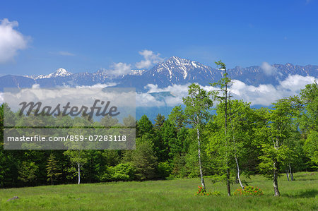 Yatsugatake Farm, Yamanashi, Japan