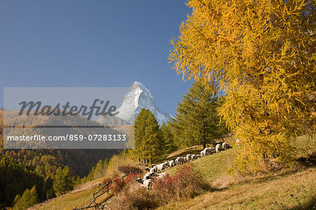 Zermatt, Switzerland