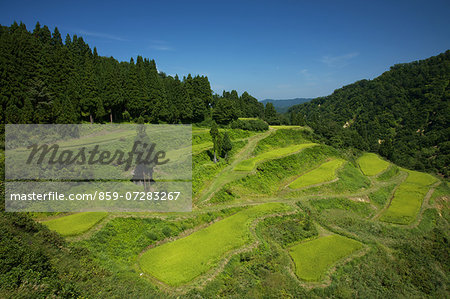 Tokamachi, Niigata, Japan