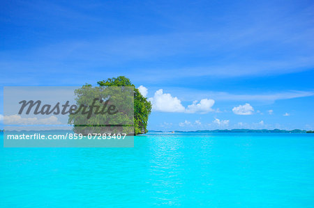 Desert Island, Palau